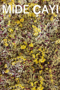 Mide Çayı